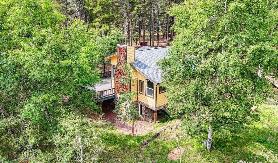 423 Mountain Meadows Dr, Black Hawk, CO 80422 - 3 Beds, 2 Bath