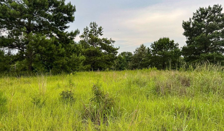 Legacy Shores lot 66, Alberta, AL 36720 - 0 Beds, 0 Bath