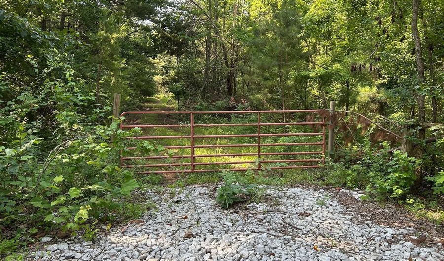 0 County Road 217, Blue Springs, MS 38828 - 0 Beds, 0 Bath
