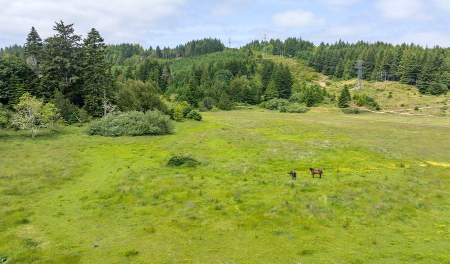 54431 Morrison Rd, Bandon, OR 97411 - 3 Beds, 3 Bath