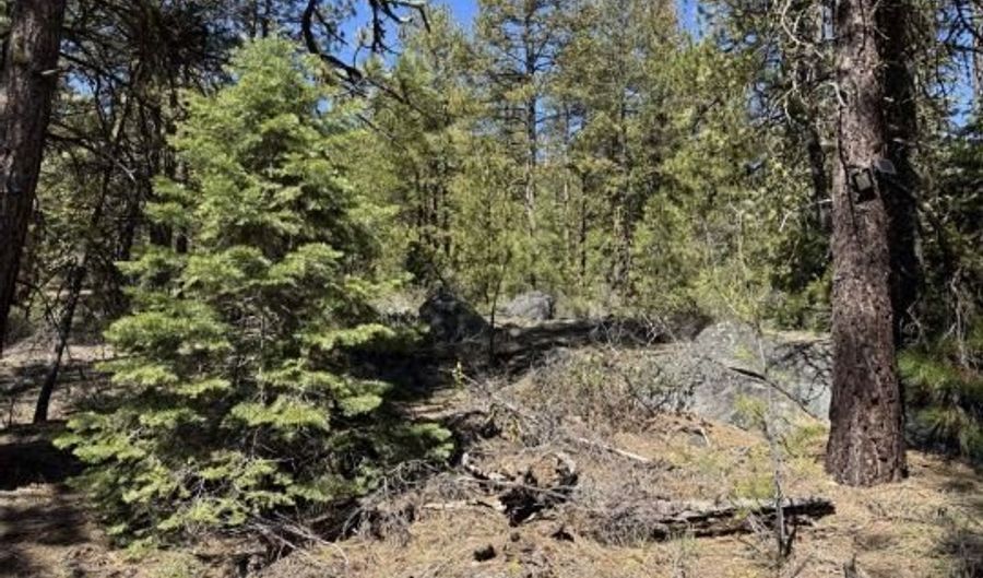 Horned Owl Lane, Bonanza, OR 97623 - 0 Beds, 0 Bath