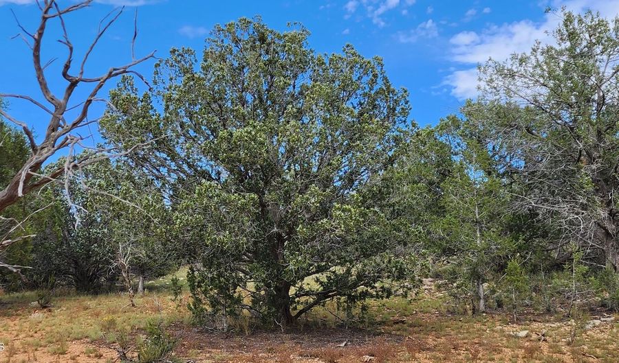 912 Westwood Rnch, Ash Fork, AZ 86320 - 0 Beds, 0 Bath