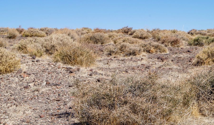 11 Salvage Ln, Fernley, NV 89408 - 0 Beds, 0 Bath