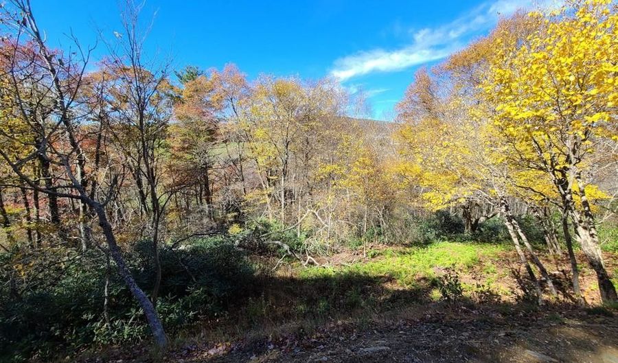 Lot 220 Stack Rock Trail, Blowing Rock, NC 28605 - 0 Beds, 0 Bath