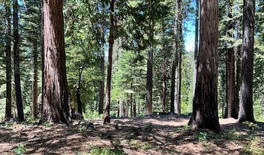 1619 Shoshone Dr, Arnold, CA 95223 - 0 Beds, 0 Bath