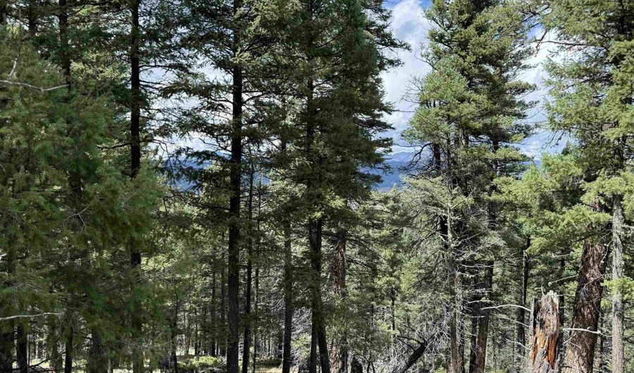 Valley Rd lot 123, Angel Fire, NM 87710 - 0 Beds, 0 Bath