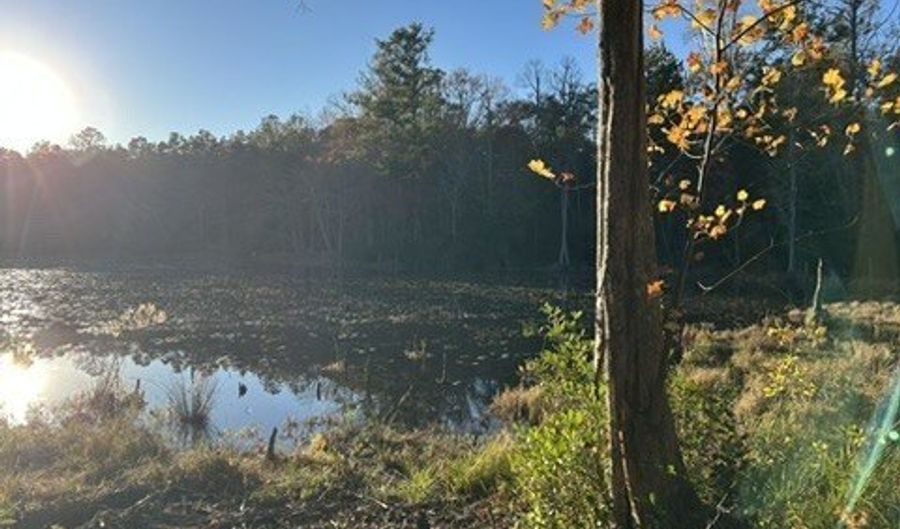 2423 Mill Creek Rd, Bethune, SC 29009 - 0 Beds, 0 Bath