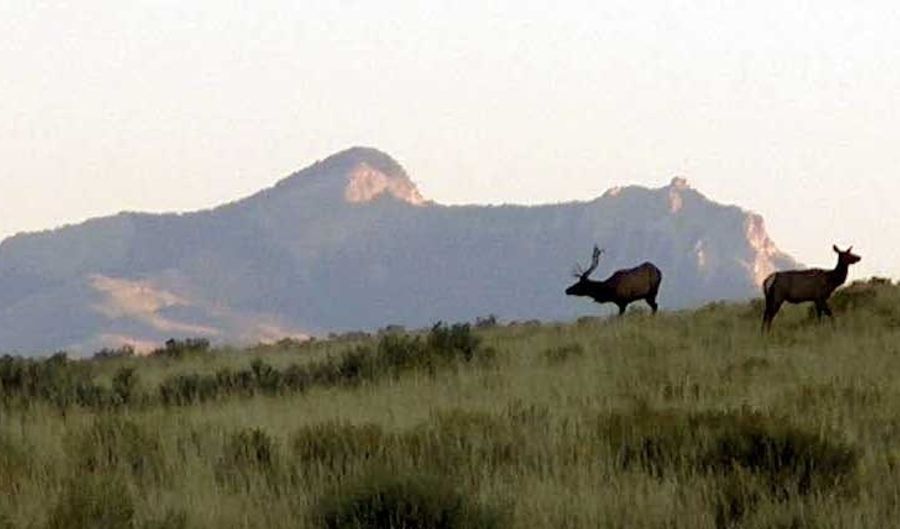 Rio Lane, Belfry, MT 59008 - 0 Beds, 0 Bath