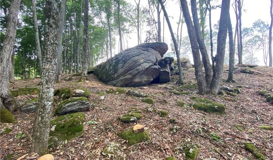 Lot S-127 Silver Eagle Trail, Banner Elk, NC 28604 - 0 Beds, 0 Bath