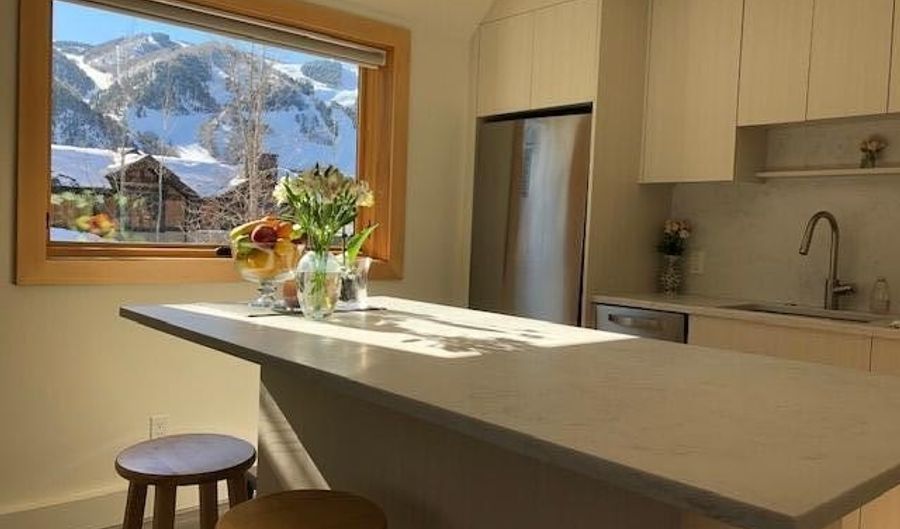 1136 Vine St 1136, Aspen, CO 81611 - 0 Beds, 1 Bath