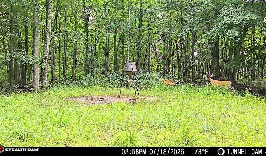 1271 A Tunnel Ridge Rd, Argillite, KY 41121 - 0 Beds, 0 Bath