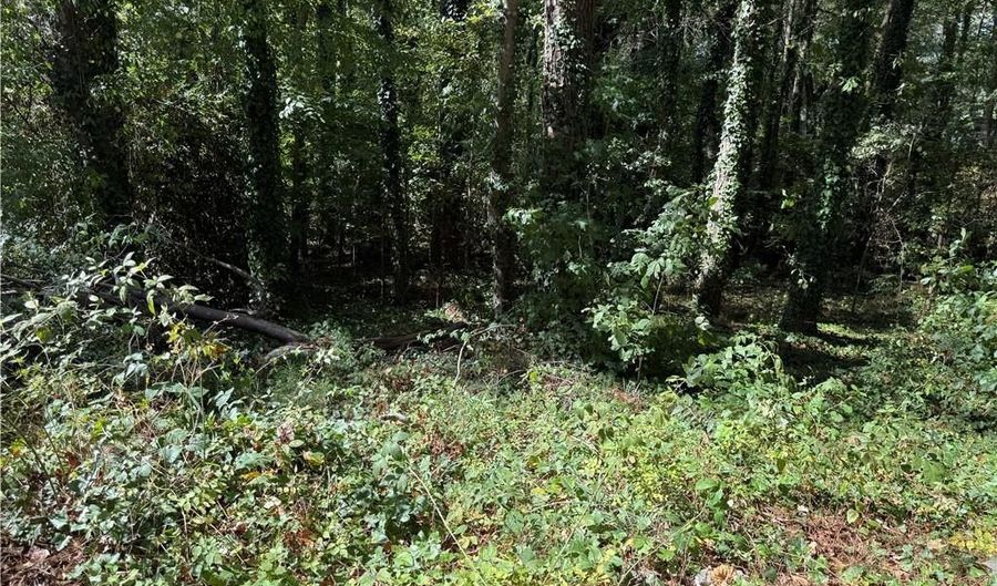 Malvin Drive SW, Austell, GA 30168 - 0 Beds, 0 Bath