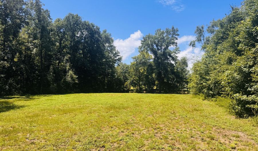 1042 Lake Cadeli Rd, Bartow, GA 30413 - 0 Beds, 0 Bath
