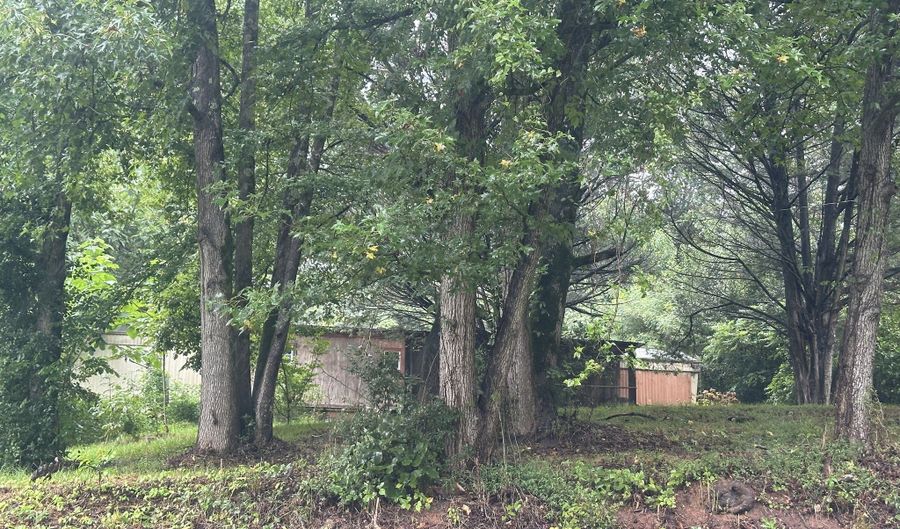 1111 HIGHWAY 63, Homer, GA 30547 - 3 Beds, 2 Bath