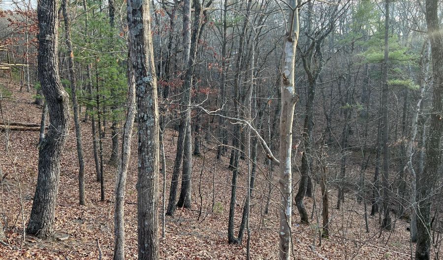 STRATON, Basye, VA 22810 - 0 Beds, 0 Bath