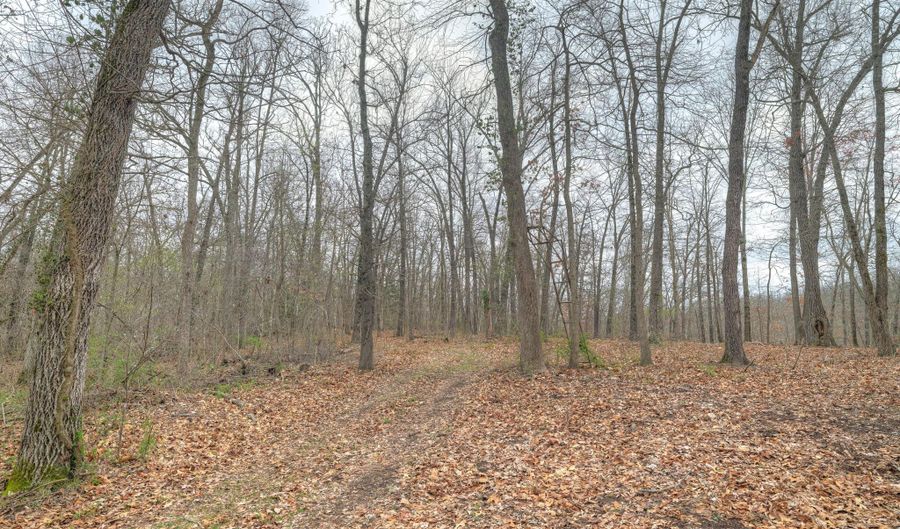 Tract 2 8.45 acres Wilderness Way, Anderson, MO 64831 - 0 Beds, 0 Bath