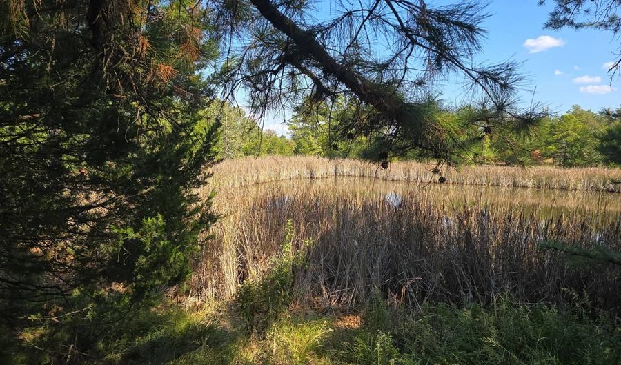 N80 Helt Rd, Antlers, OK 74525 - 0 Beds, 0 Bath