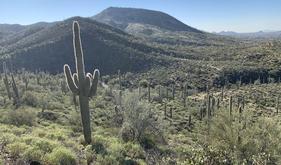 42000 N Fleming Springs Rd P, Cave Creek, AZ 85331 - 0 Beds, 0 Bath