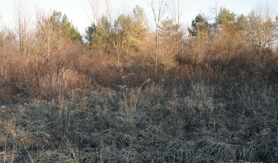 V/L Fawn Path Parcel B, Allegan, MI 49010 - 0 Beds, 0 Bath