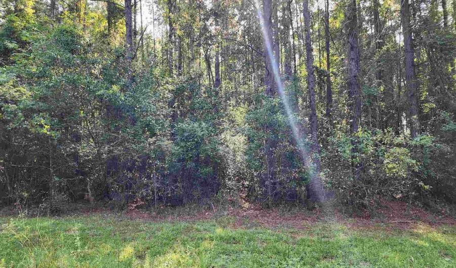 0 Lowery Rd Lot #11, Atmore, AL 36502 - 0 Beds, 0 Bath