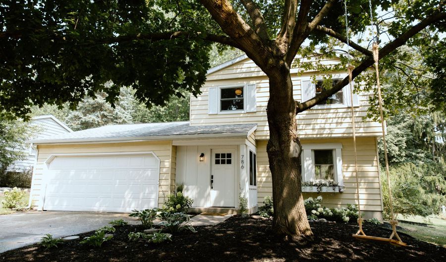 786 Adaway Ave SE, Ada, MI 49301 - 4 Beds, 3 Bath