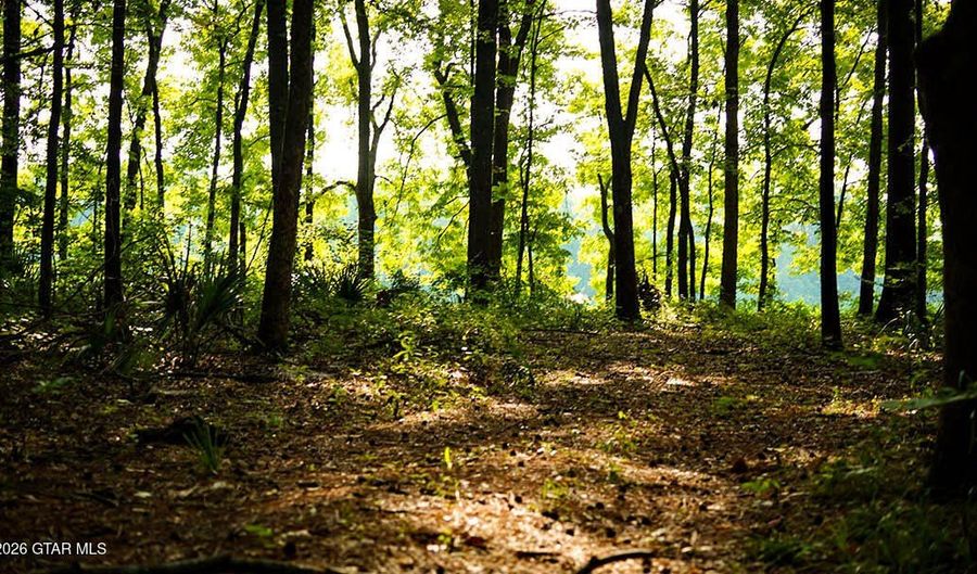 Cypress Pointe Drive lot 12, Brooksville, MS 39739 - 0 Beds, 0 Bath