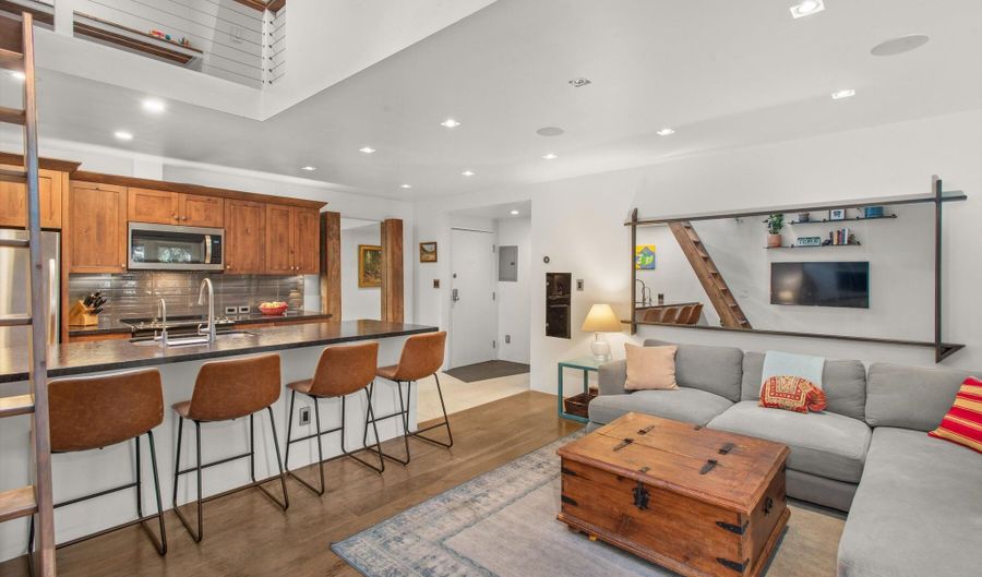 910 W Hallam St 11, Aspen, CO 81611 - 2 Beds, 1 Bath