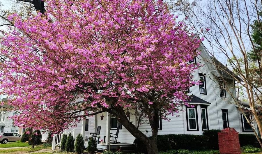 43 E HENRY St, Palmyra, NJ 08065 - 4 Beds, 2 Bath