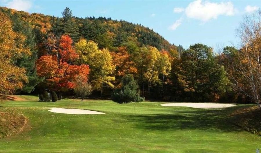 30 Linderhof Golf Course Rd C1, Bartlett, NH 03838 - 2 Beds, 1 Bath