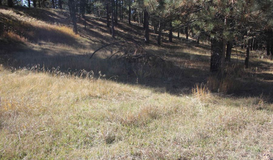Valley Road lot 41, Angel Fire, NM 87710 - 0 Beds, 0 Bath