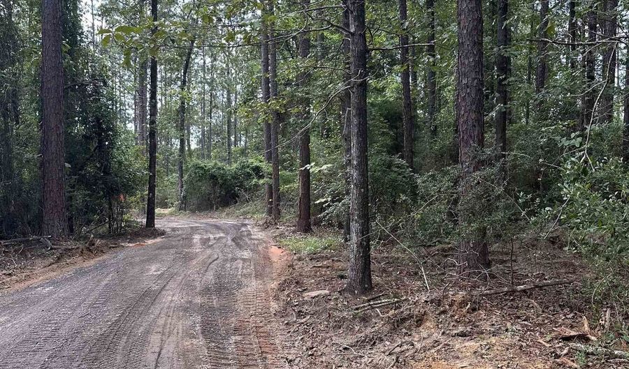 40140 Dogwood Fork Rd, Bay Minette, AL 36507 - 0 Beds, 0 Bath