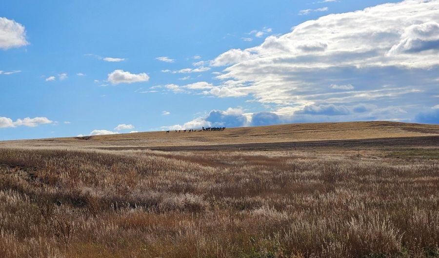 Cadence Ct, Berthoud, CO 80513 - 0 Beds, 0 Bath