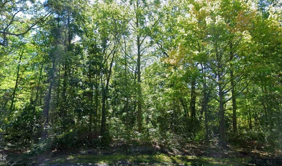 314 Fulling Mill Rd, Villas, NJ 08251 - 0 Beds, 0 Bath