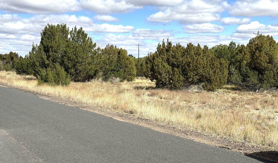 5 Clubhouse Ln, Concho, AZ 85924 - 0 Beds, 0 Bath