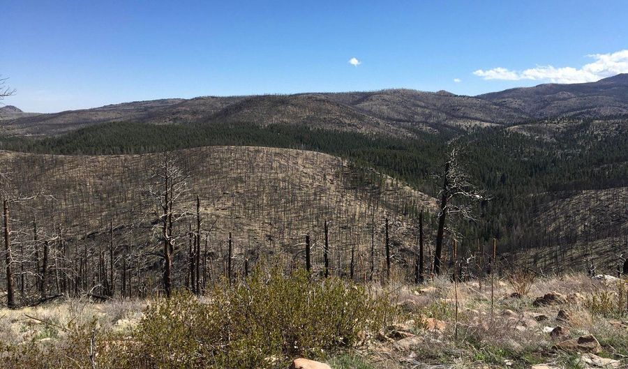 3600 Moondance Way, Bellvue, CO 80512 - 0 Beds, 0 Bath