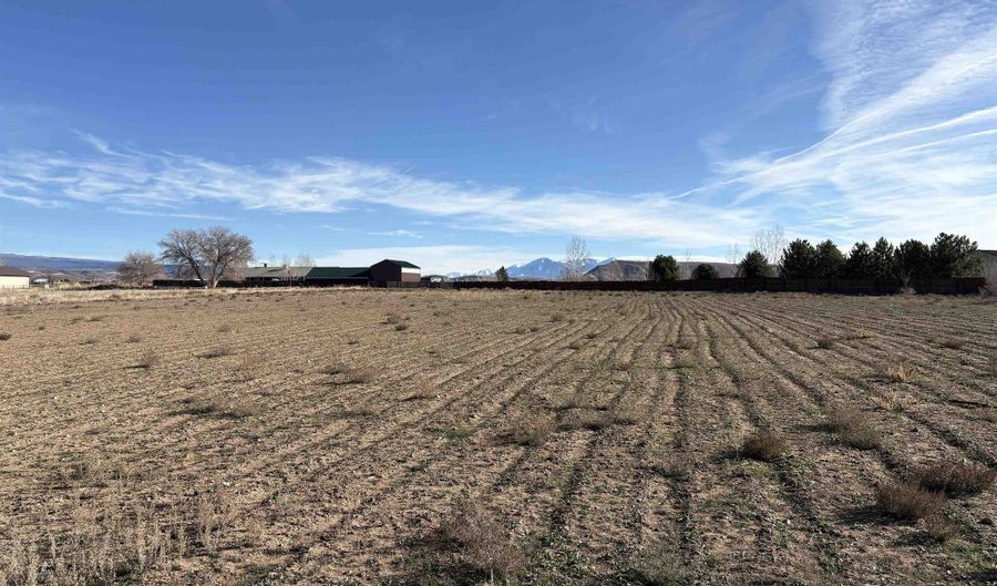 8350 2085 Rd, Austin, CO 81410 - 4 Beds, 3 Bath