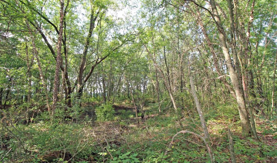 7750 Pine Rd, Arena, WI 53503 - 3 Beds, 2 Bath