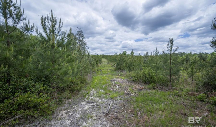 Phillipsville Road, Bay Minette, AL 36507 - 0 Beds, 0 Bath