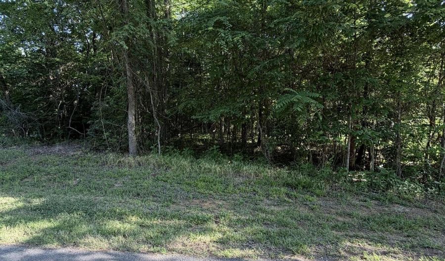Cove lot 1023, Baneberry, TN 37890 - 0 Beds, 0 Bath