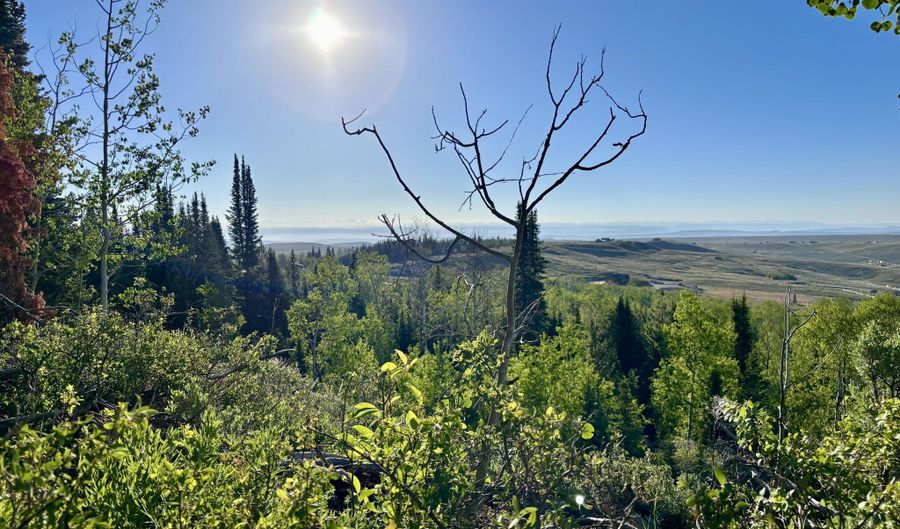TBD BOLTZ Drive, Daniel, WY 83115 - 0 Beds, 0 Bath