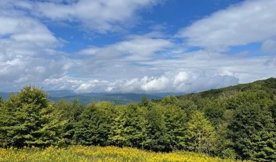 Tbd Old Mountain Road, Banner Elk, NC 28604 - 0 Beds, 0 Bath