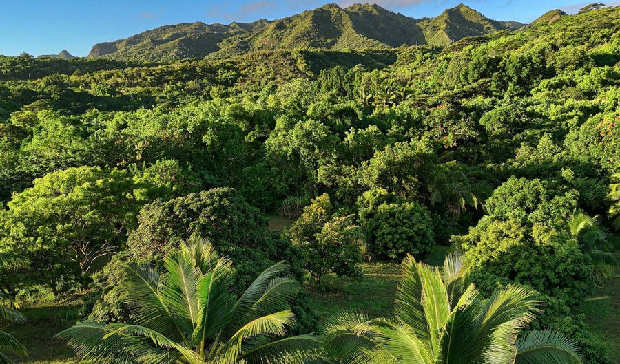 6565- C KOOLAU Rd, Anahola, HI 96746 - 0 Beds, 0 Bath