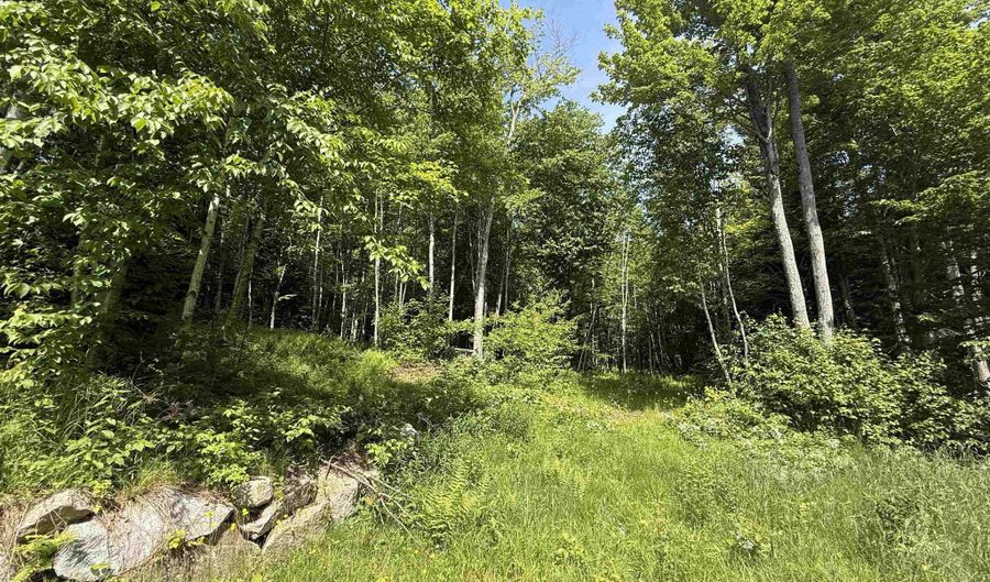 2984 Vt Route 102, Brunswick, VT 05905 - 0 Beds, 0 Bath