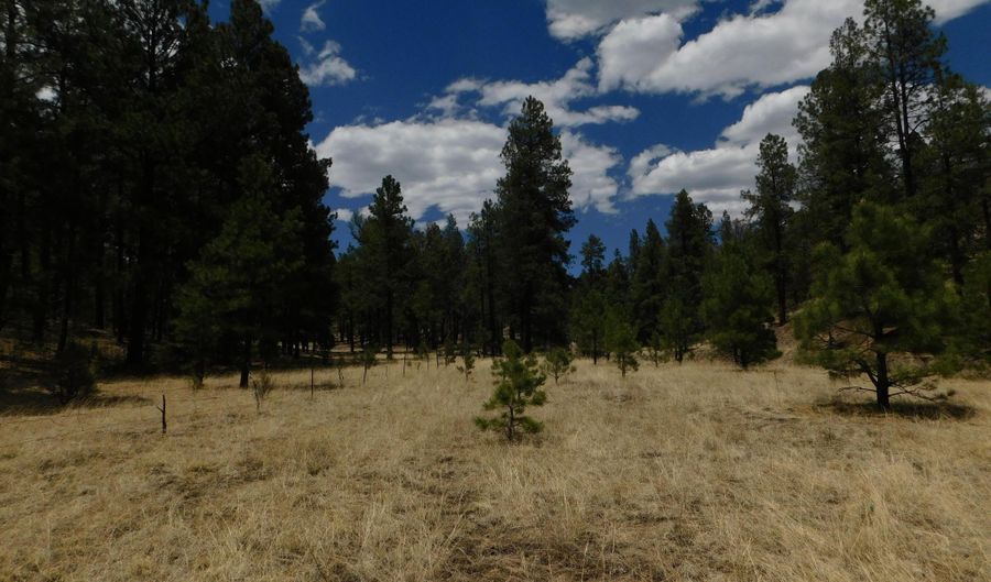 10 N2310, Alpine, AZ 85920 - 0 Beds, 0 Bath