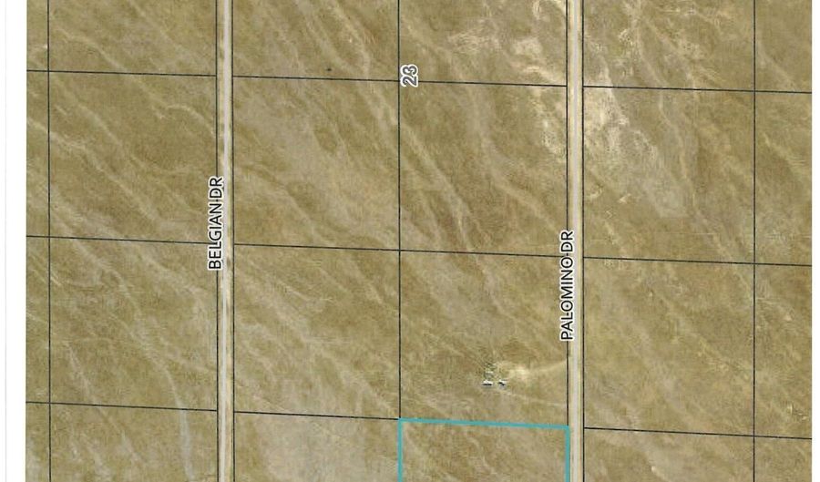 08067107 Palomino Rd, Golconda, NV 89414 - 0 Beds, 0 Bath