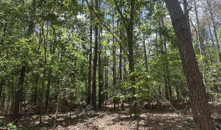 County Road 244 Tract A, Abbeville, MS 38601 - 0 Beds, 0 Bath
