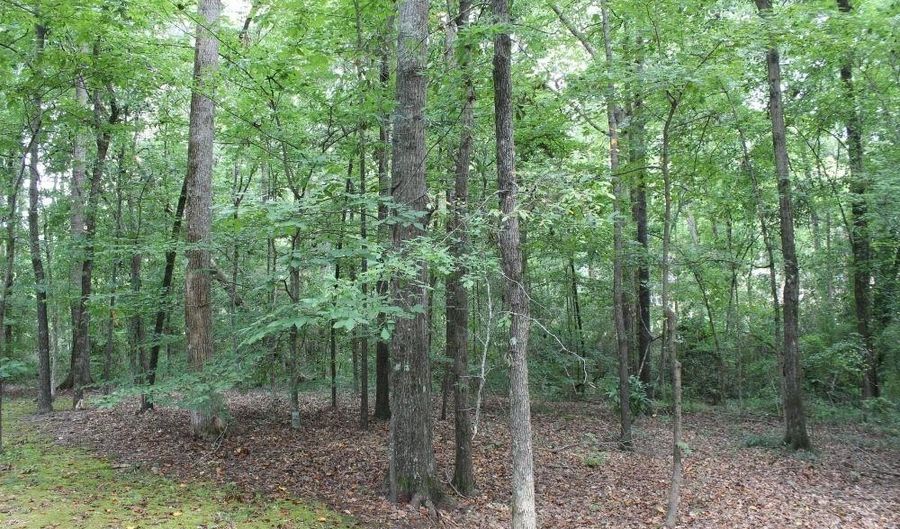 441 KIMBERLY Dr, Auburn, AL 36832 - 5 Beds, 3 Bath