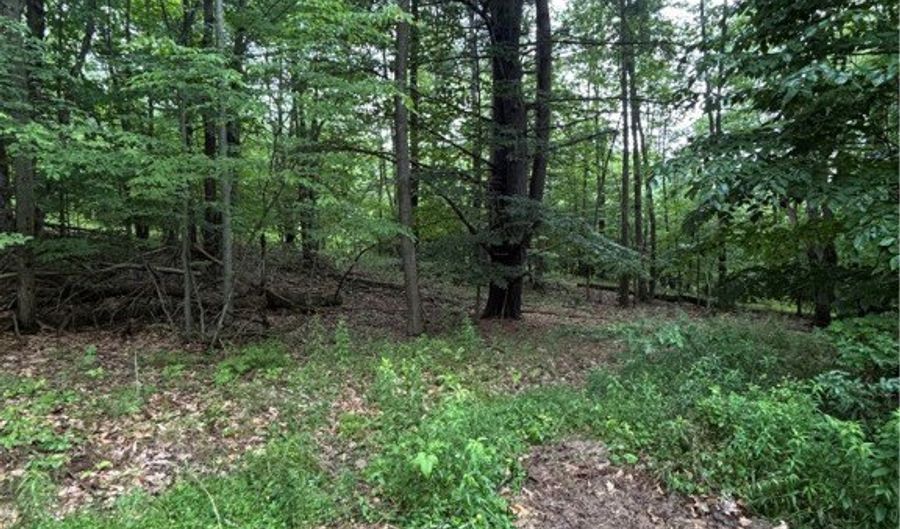 Sugar Hill Road, Almond, NY 14804 - 0 Beds, 0 Bath