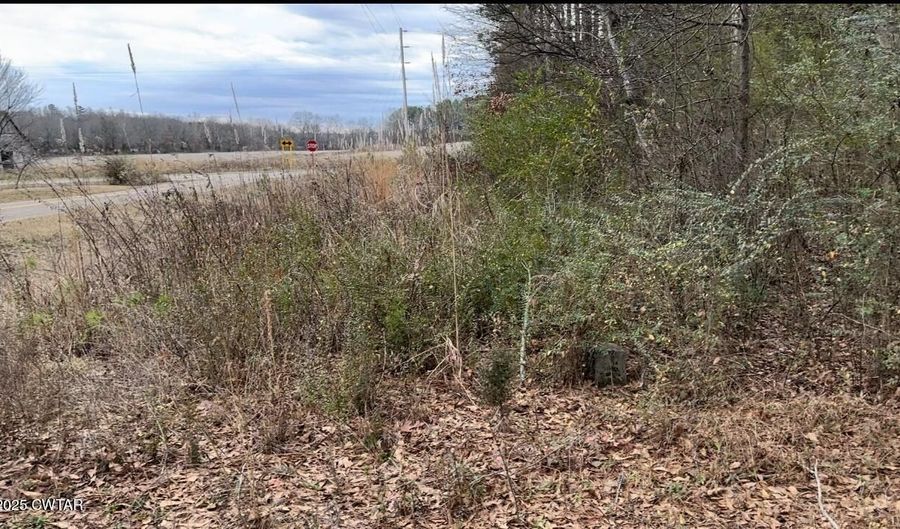 Lot 22/26 Oak View Drive, Adamsville, TN 38310 - 0 Beds, 0 Bath