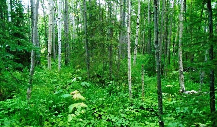 Lot 102 Nw Loc Sault Avenue, Anchorage, AK 99516 - 0 Beds, 0 Bath